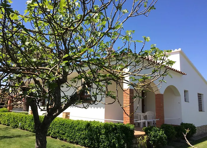 Montserrat 1, Terrace & Pool סנט מרטי ד'אמפורייס